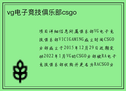 vg电子竞技俱乐部csgo